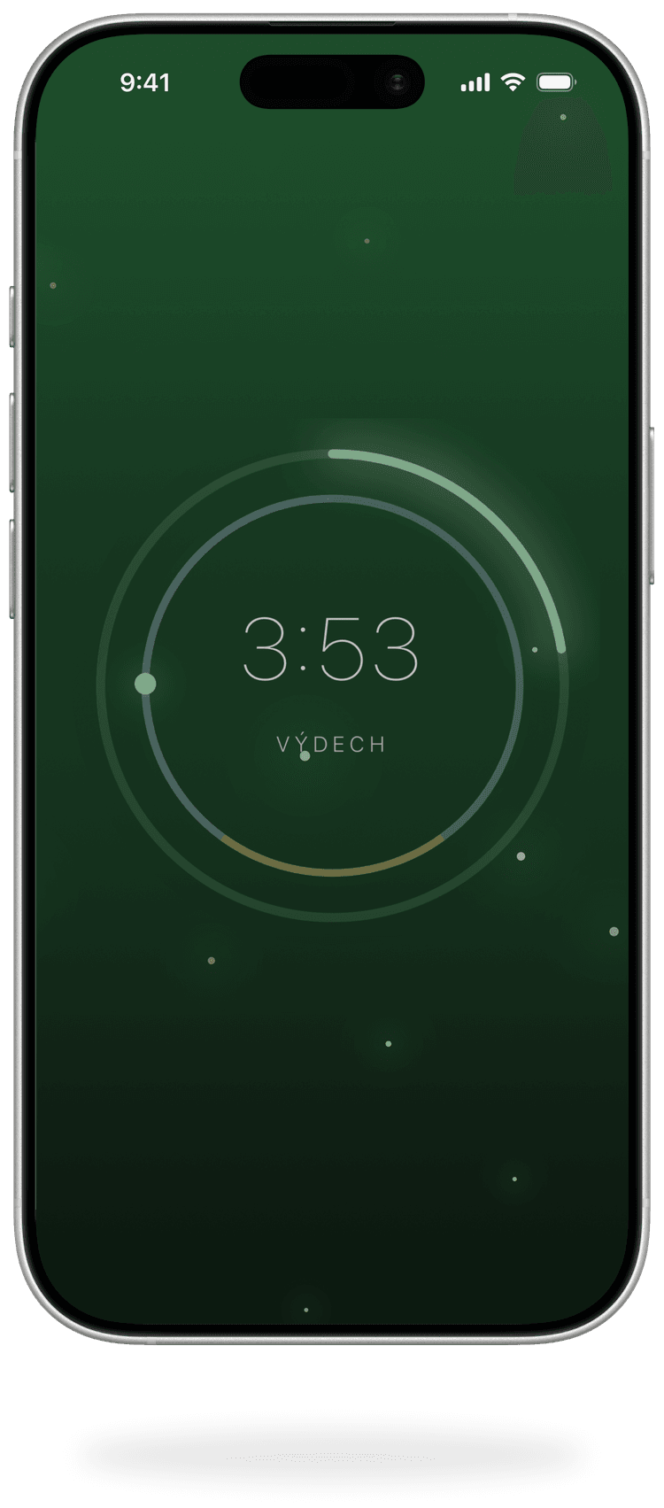 Vizuální scéna lesa